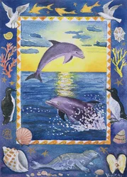 Dolphin